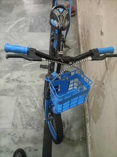 Bicycle for 8-13 year fix price