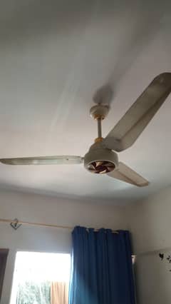 RB AC/DC FAN