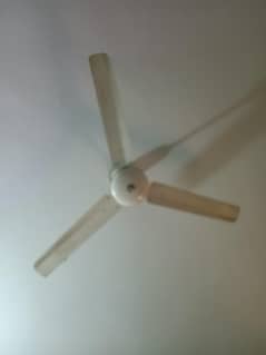 Pak