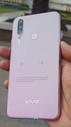 Vivo