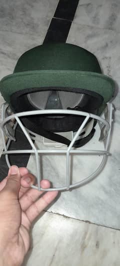 Cricket