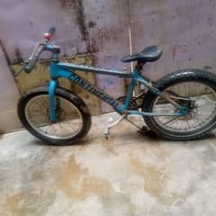 vip bicycle sale