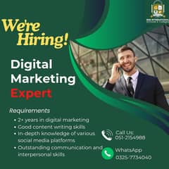Digital marketing expert required
