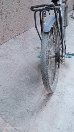 cycle