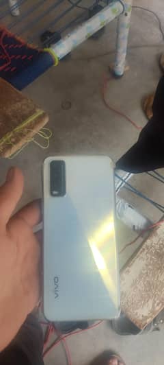 vivo