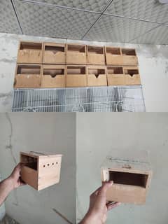 Finches Breeding boxes