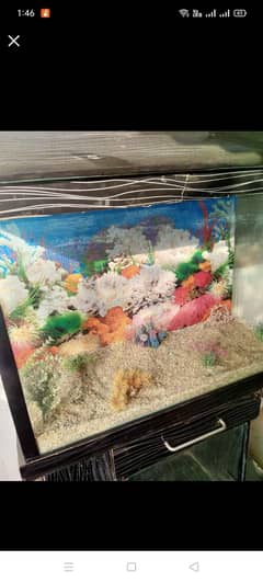 3 feet large aquarium