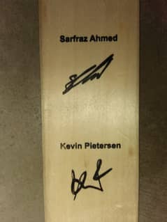 Sarfaraz