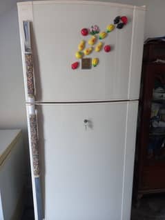 Dawlance king size fridge