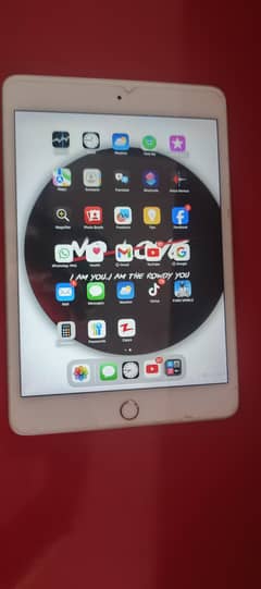 iPad