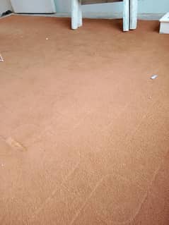 carpet