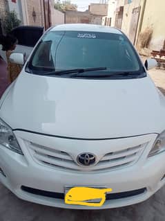 03004374956