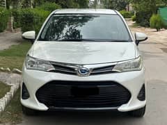 axio feilder