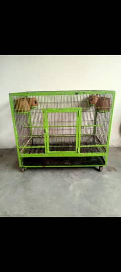 Birds Cage 03289286524