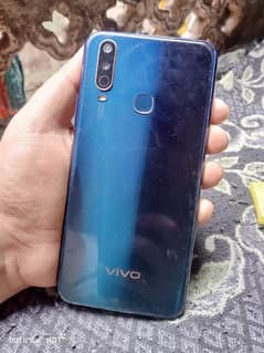 vivo
