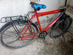 cycle for sell good condition