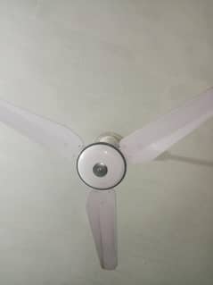 fan