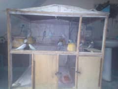 cage of Birds