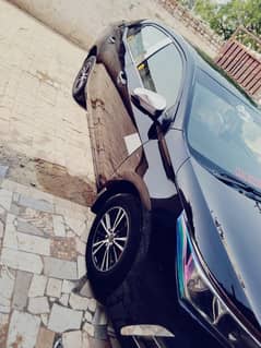 Corolla