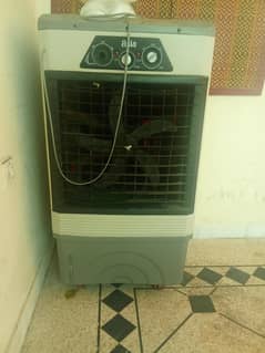 12 Volts Medium Size, 1 season used