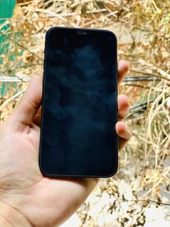 Iphne 12pro