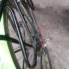 cycle gaeron wali
