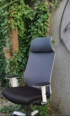 Premium Ergonomic Office Chair | High Back with Headrest & Armrests 