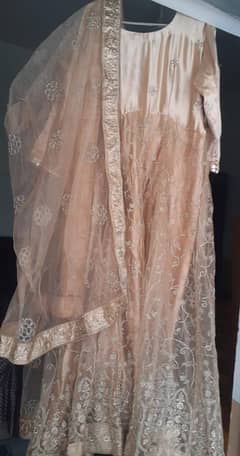 Heavy Embroidered Party Wear Dress – Large Size | Almost New"