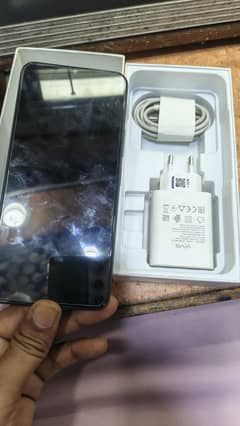 vivo
