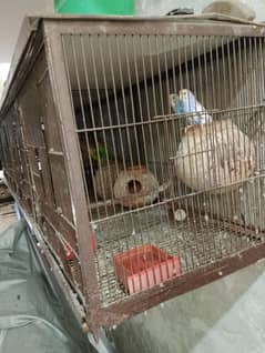 cage