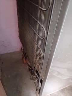 fridge