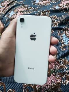 IPHONE XR FRESH PIECE
