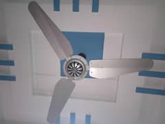 celling fan for sale urgent