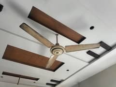 sayeno fan