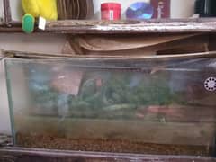 Aquirum