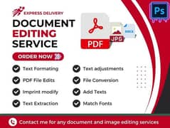 I will do Professional document editing work