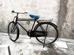 Sohrab Cycle 22 inch