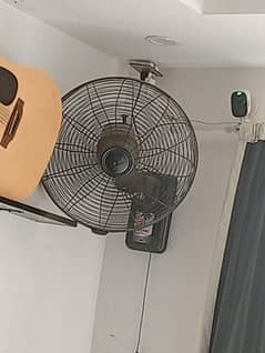 wall