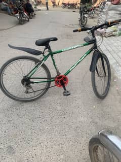 Phonenix cycle