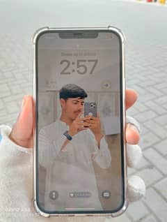 iPhone 12 Pro Max PTA Approved