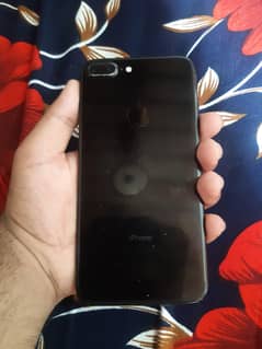 I phone 7 plus