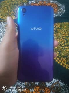 [vivo