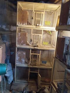 For Birds or Hen Use