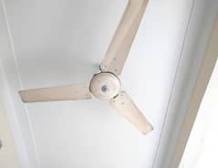 GFC Ceiling Fan Size 56" 1400mm
