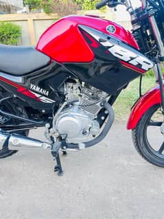 Yamaha YBR 2025 Model