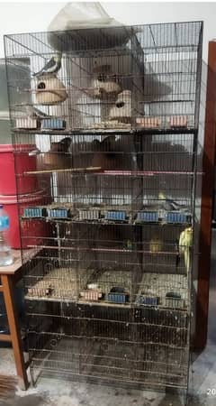 12 Portion Cage for Sale