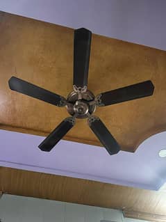 Fan A one condition
