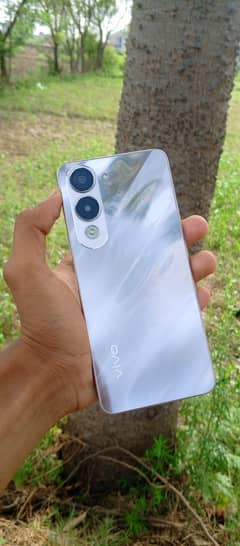 vivo