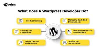 Wordpress Devolper.