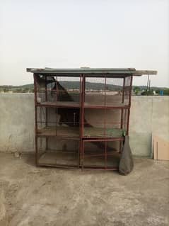 Hen Cage for Urgent Sale